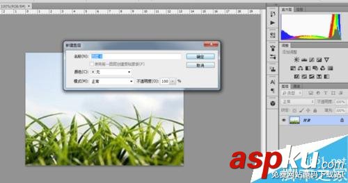 PS,色彩范围,抠图