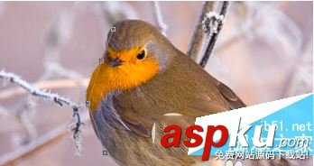 ps,快速选择工具,铅笔工具,抠图