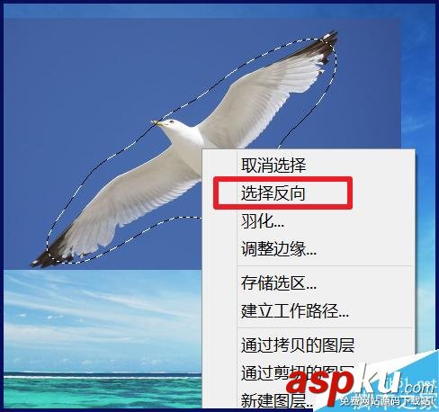 ps,图片,背景,抠图