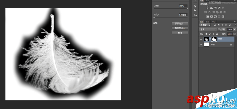 Photoshop,色阶,羽毛