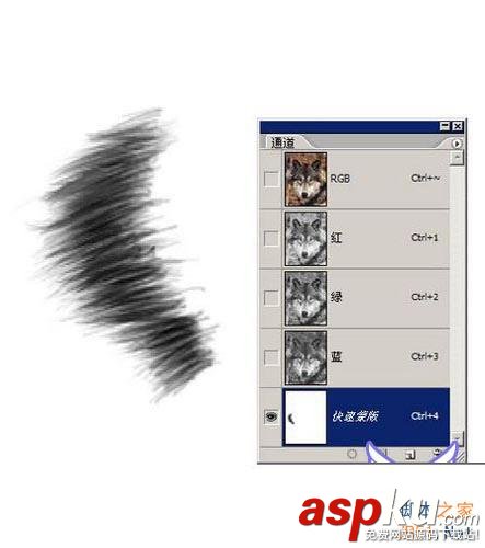 Photoshop,抠图