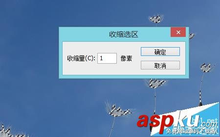 PS,蒲公英