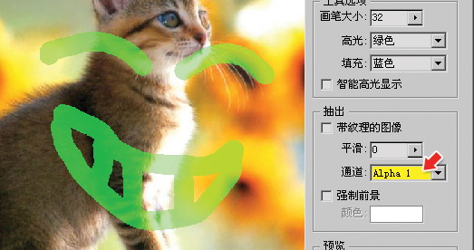 PS抠图教程之抽出滤镜抠图法