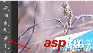 ps,快速选择工具,铅笔工具,抠图