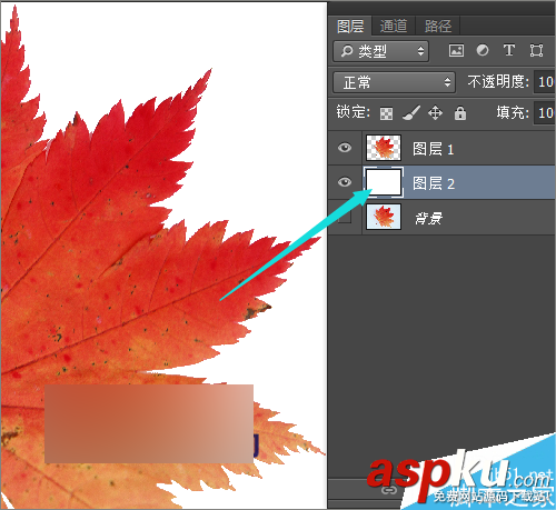 ps,物体,阴影