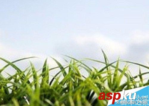 PS,色彩范围,抠图