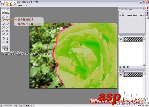 Photoshop抠图,Mask,pro,4.11,抠图