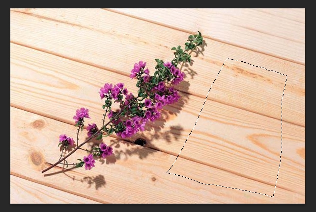 PS的去水印方法（五）：移植修图