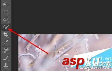ps,快速选择工具,铅笔工具,抠图