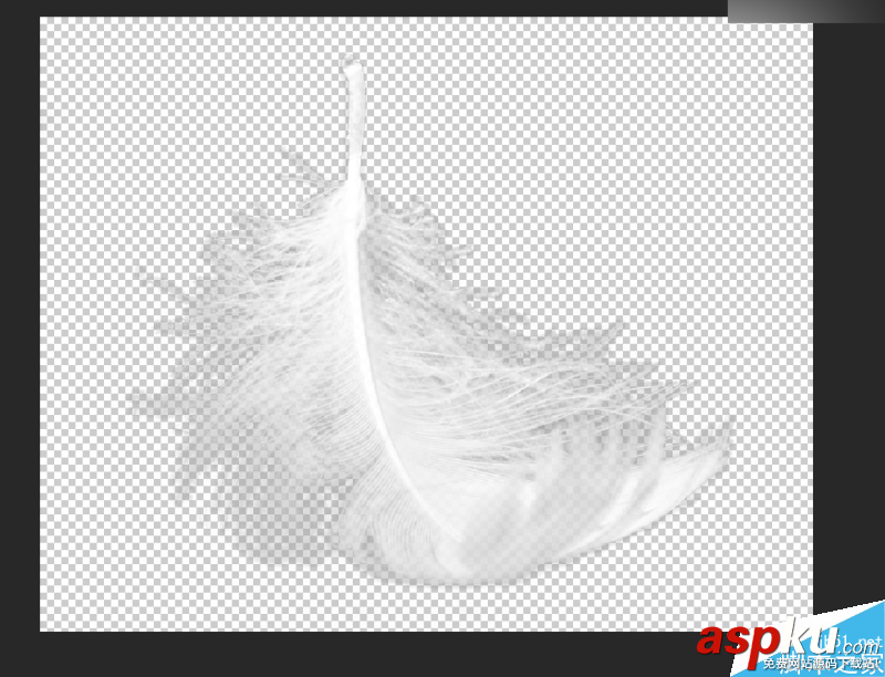 Photoshop,色阶,羽毛