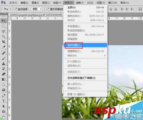 PS,色彩范围,抠图