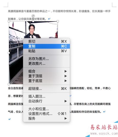 Word 插入图片及排版