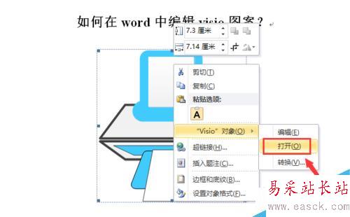 如何在word中编辑visio图案？