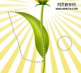 photoshop教程：绘制好看的花朵26