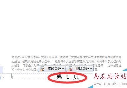 word文档怎么插入页脚