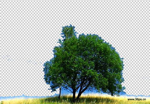 photoshop照片合成:草原暴雨前景