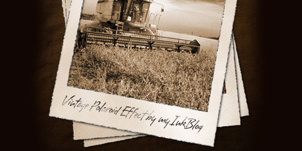 vintage polaroid effect