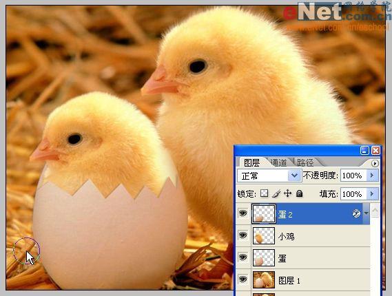 photoshop合成“蛋壳里的小鸡”_网页设计webjx.com转载(3)
