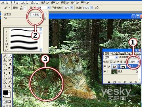 photoshop图片合成实例：自然界中的老虎_网页设计webjx.com整理转载