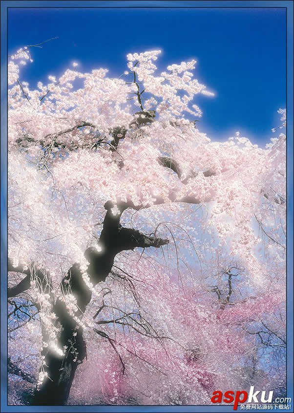 Photoshop,艺术特效
