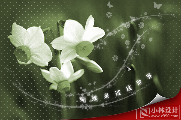 photoshop处理照片:花卉照片添加光线_webjx.com