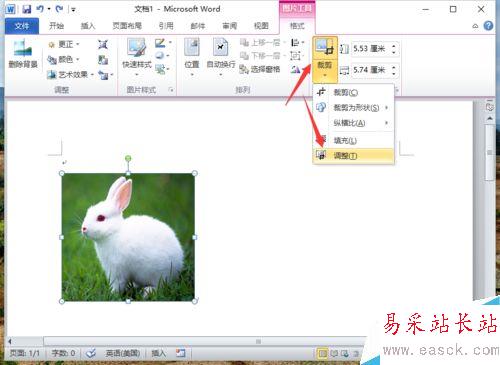 Word2010删除图片背景实现局部提取怎么做
