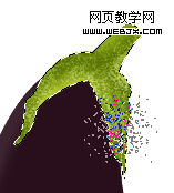 photoshop-brinjal-logo-icon14