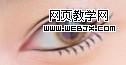 photoshop教程:美女照片仿手绘-webjx.com