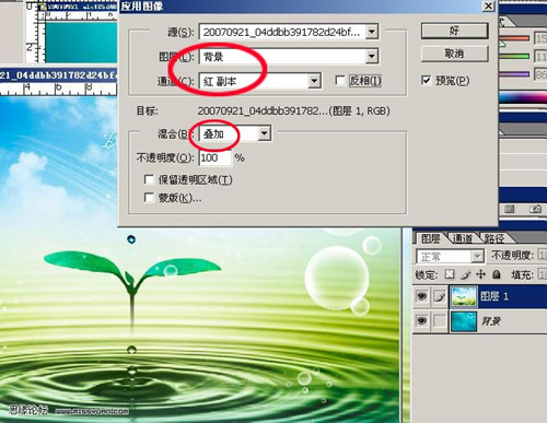 photoshop合成实例：合成水上蝴蝶