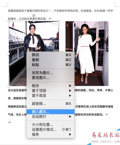 Word 插入图片及排版