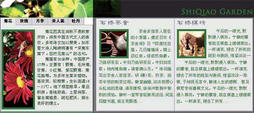 photoshop制作网站首页(2):首页内容的制作_网页设计webjx.com转载