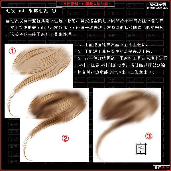 photoshop鼠绘教程:绘制真实的毛发_网页设计