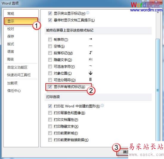 显示所有格式标记