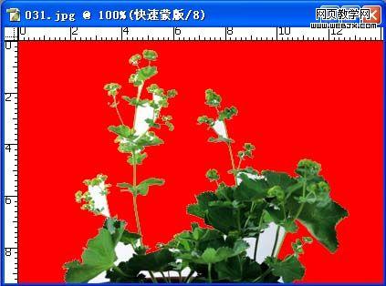 photoshop利用蒙版建立复杂的选区-网页设计