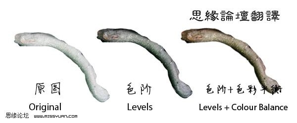 photoshop照片合成:树妖缠身的女孩_webjx.com