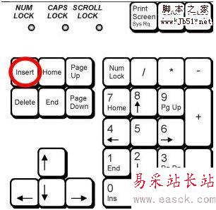 “insert”键所在位置