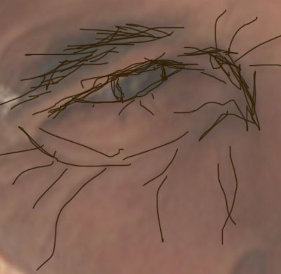 photoshop真人照片转艺术写生素描画_webjx.com