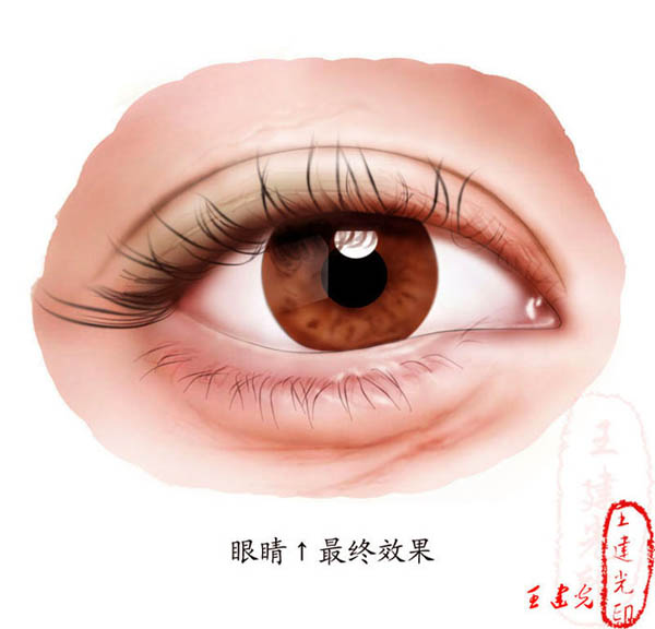 photoshop教程:详解眼睛的鼠绘过程_webjx.com