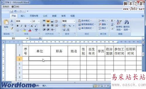 插入到Word文档中的Excel文件