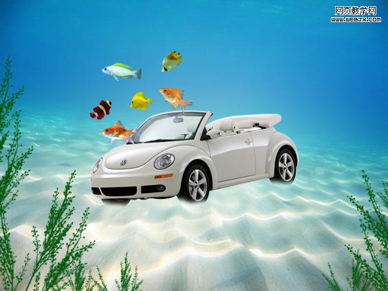 fishes