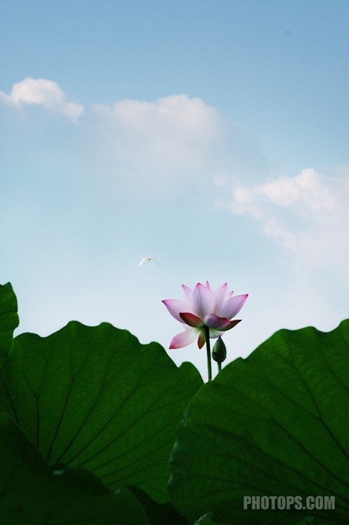 逆光照片调整,photoshop教程