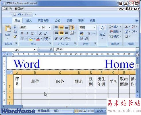嵌入Word2007文档窗口的Excel表格数据