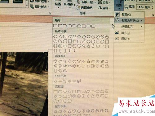 如何在word中改变插入图片的形状