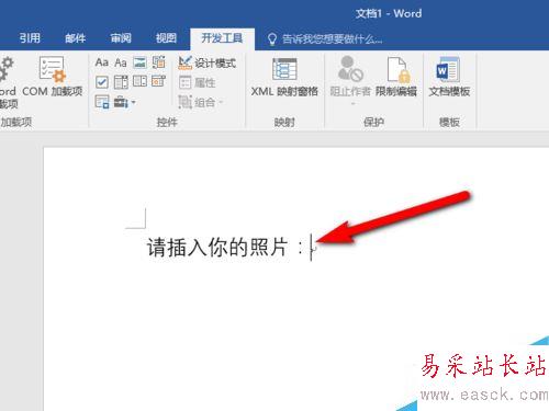 Word2016怎么插入图片？Word2016插入图片控件教程