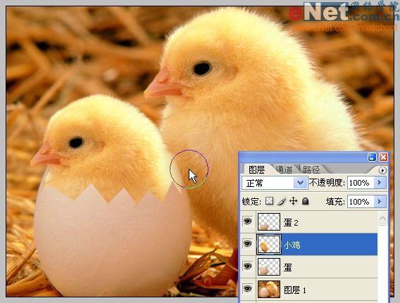photoshop合成“蛋壳里的小鸡”_网页设计webjx.com转载(3)