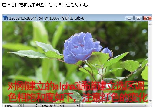 photoshop照片选区的各种制作方法_webjx.com