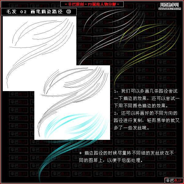 photoshop鼠绘教程:绘制真实的毛发_网页设计