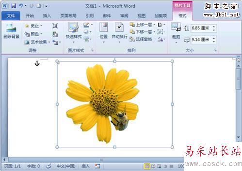Word 2010去除图片背景小技巧