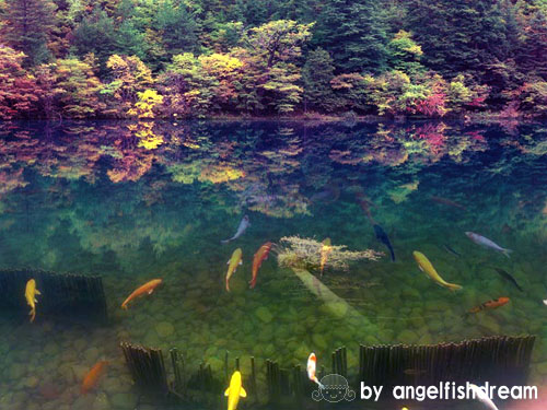 用photoshop做简单的风景溶图