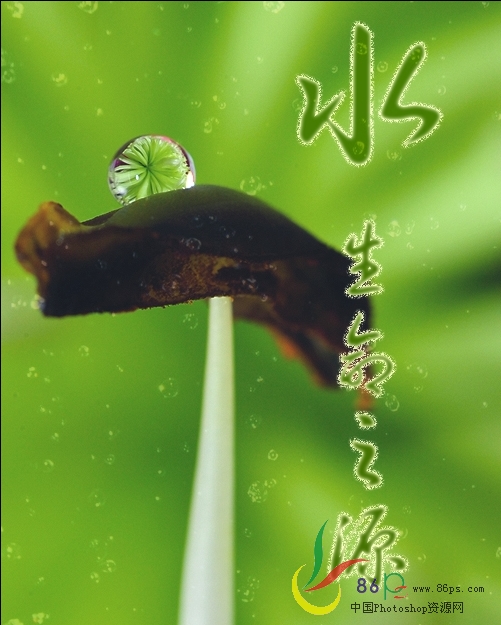 photoshop创意设计：生命之源海报